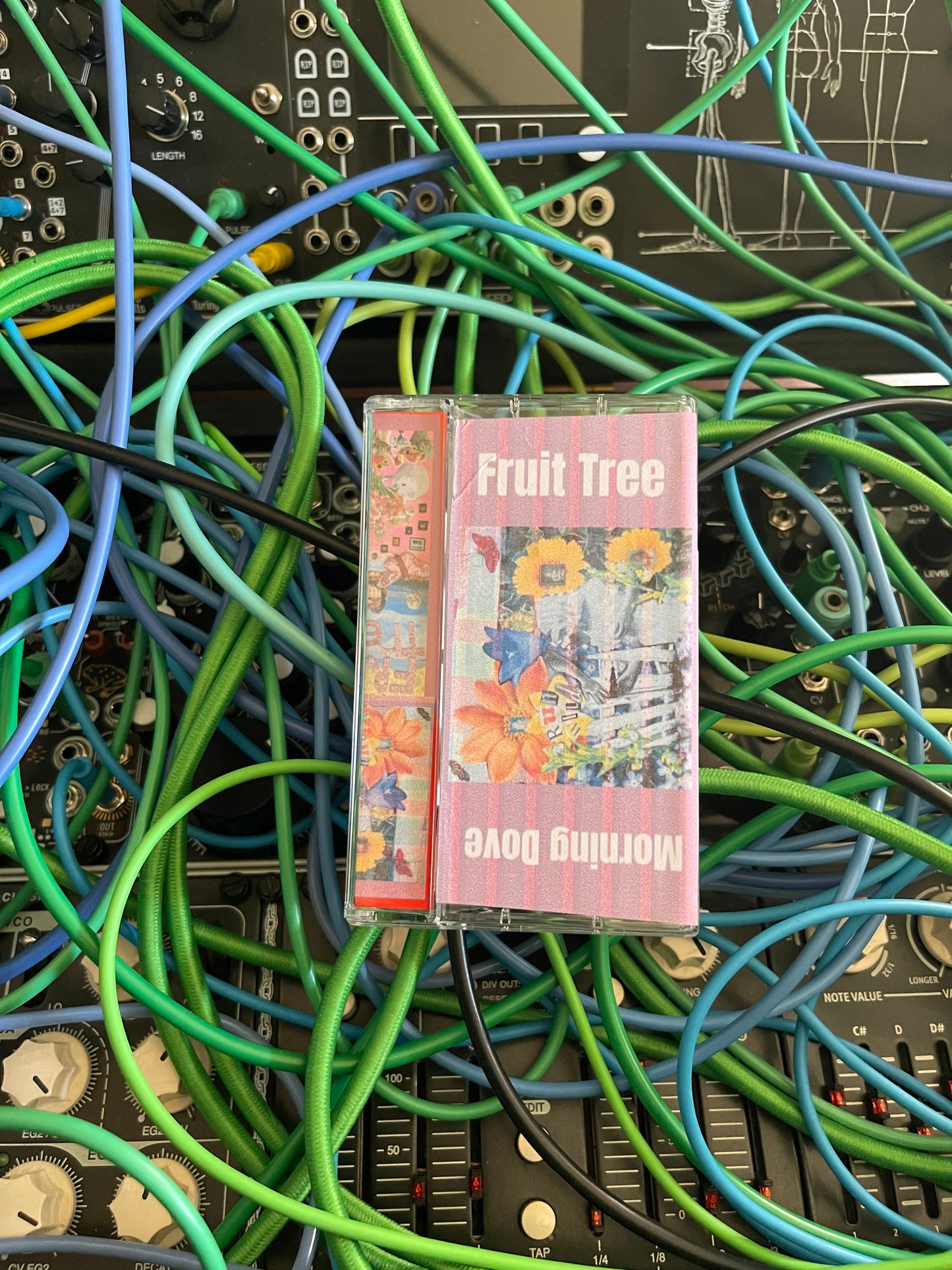 Fruit Tree x Morning Dove cassette tape